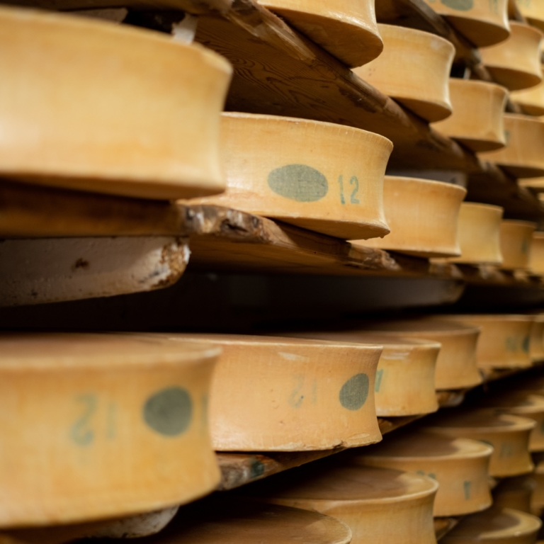 Meules de Beaufort en cave d’affinage