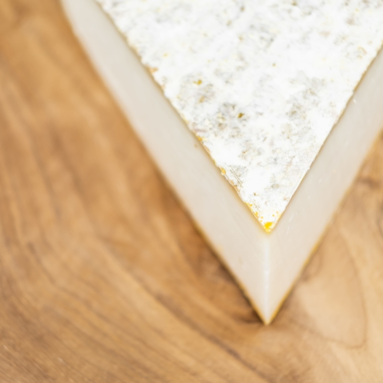 tomme-pur-chevre-3