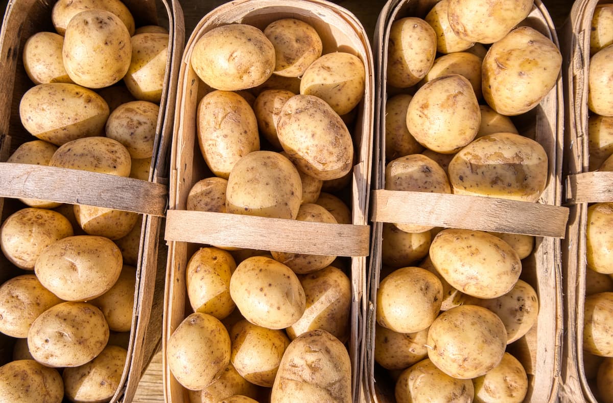 Gastronomie. Pommes: quelle variété choisir pour vos tartes